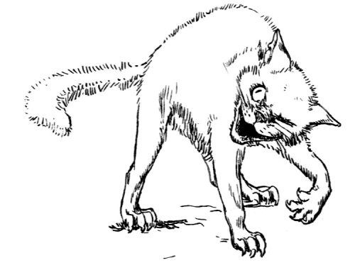 Иллюстрация к книге — Суеверия викторианской Англии [i_082.jpg]