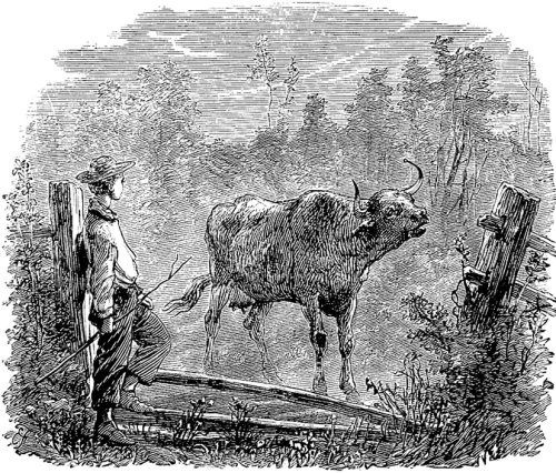 Иллюстрация к книге — Суеверия викторианской Англии [i_145.jpg]