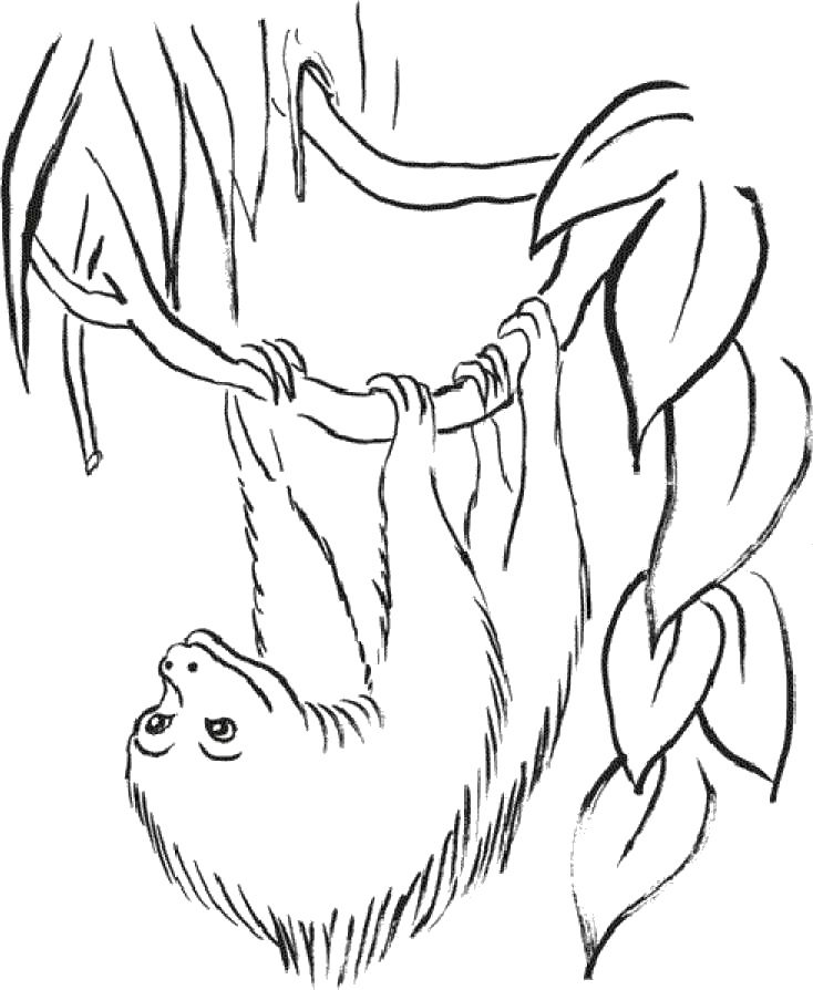 Иллюстрация к книге — Практика радости. Как отдыхать осознанно [i_006.jpg]