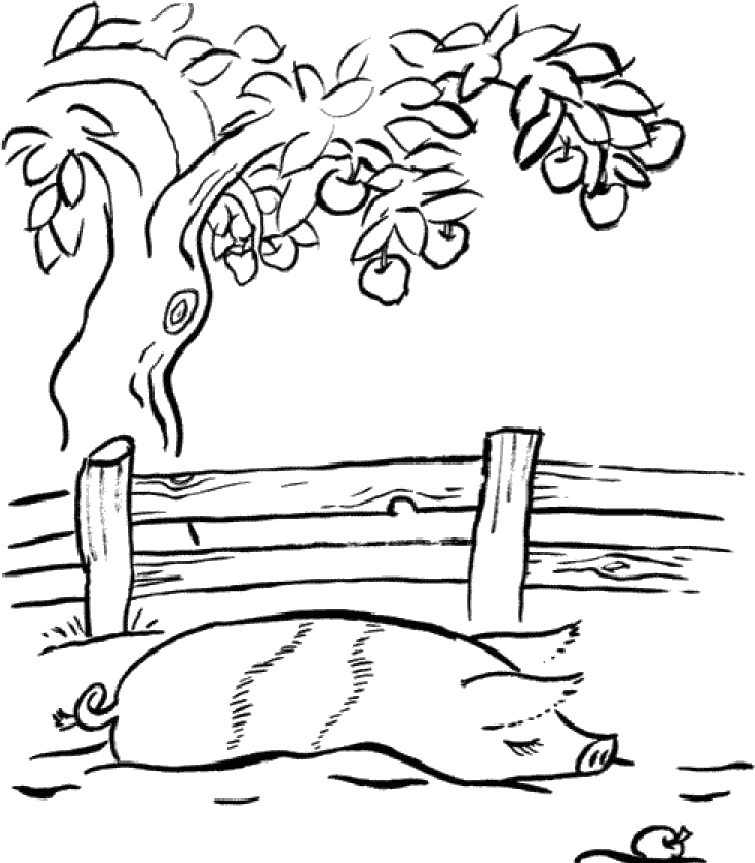 Иллюстрация к книге — Практика радости. Как отдыхать осознанно [i_014.jpg]