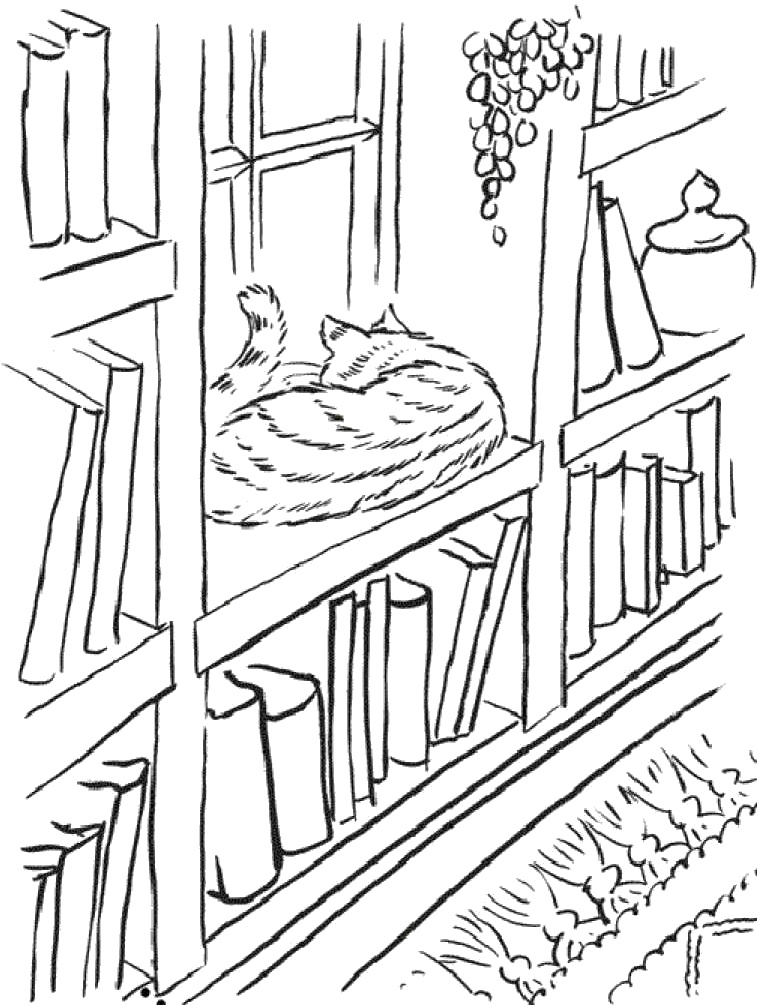 Иллюстрация к книге — Практика радости. Как отдыхать осознанно [i_015.jpg]