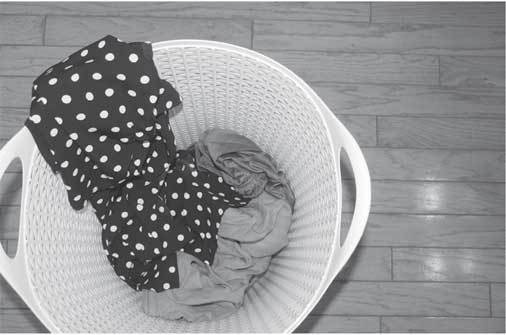 Иллюстрация к книге — Как поддерживать порядок в доме и не сойти с ума [i_003.jpg]