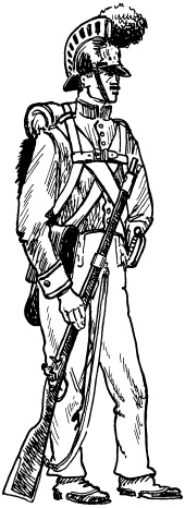 Иллюстрация к книге — Огнестрельное оружие XIX-XX веков. От митральезы до "Большой Берты" [i_001.jpg]