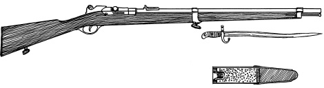 Иллюстрация к книге — Огнестрельное оружие XIX-XX веков. От митральезы до "Большой Берты" [i_006.jpg]