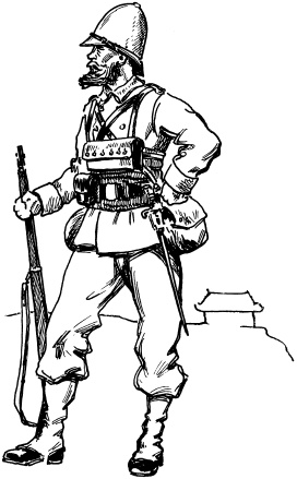 Иллюстрация к книге — Огнестрельное оружие XIX-XX веков. От митральезы до "Большой Берты" [i_043.jpg]