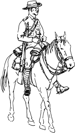 Иллюстрация к книге — Огнестрельное оружие XIX-XX веков. От митральезы до "Большой Берты" [i_055.jpg]