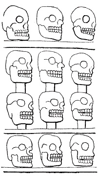 Иллюстрация к книге — Майя. Исчезнувшая цивилизация: легенды и факты [pic_33.jpg]
