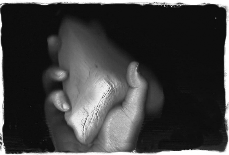 Иллюстрация к книге — Мег [i_008.jpg]