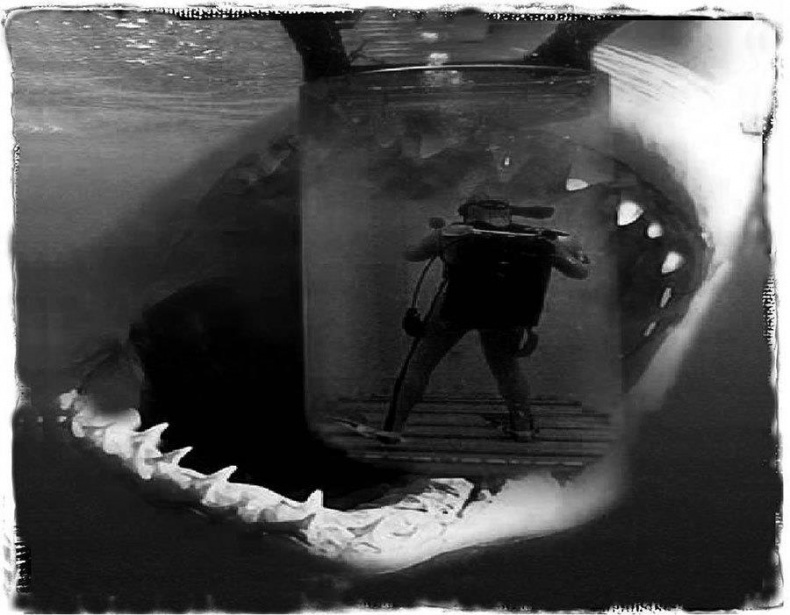 Иллюстрация к книге — Мег [img1849.jpg]