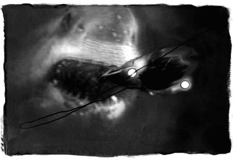 Иллюстрация к книге — Мег [img4ae9.jpg]