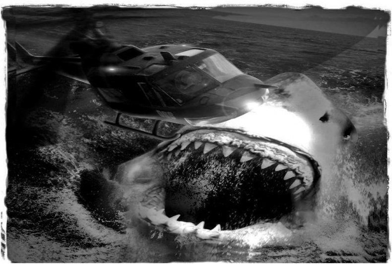 Иллюстрация к книге — Мег [img890.jpg]