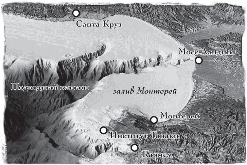 Иллюстрация к книге — Мег [imgb7c2.jpg]