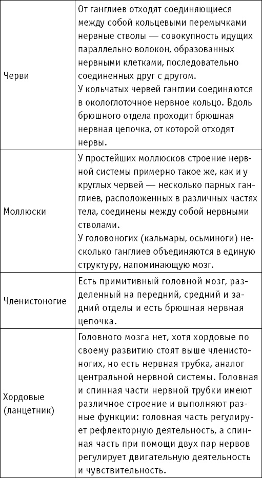 Иллюстрация к книге — Анатомия на пальцах [_111.jpg]