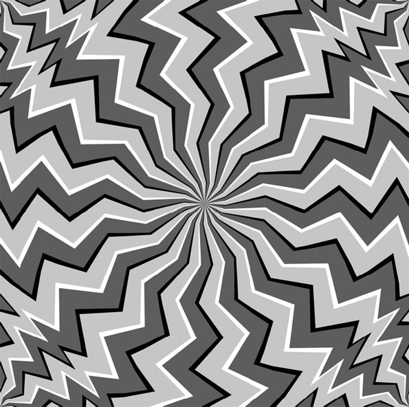 Иллюстрация к книге — Анатомия на пальцах [_131.jpg]