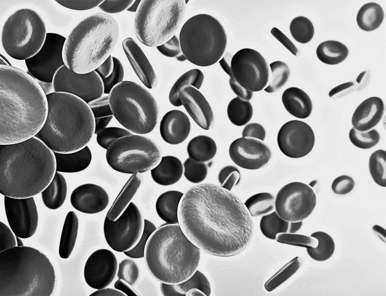 Иллюстрация к книге — Анатомия на пальцах [_23.jpg]