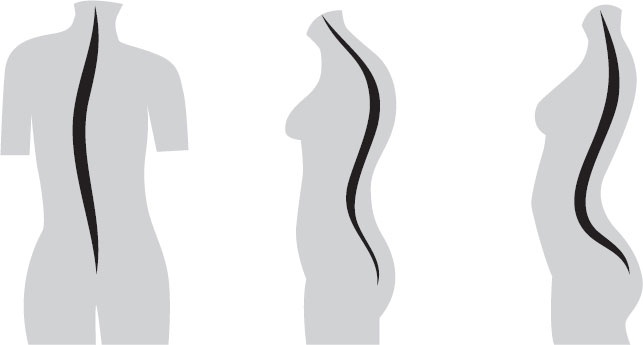 Иллюстрация к книге — Анатомия на пальцах [_67.jpg]