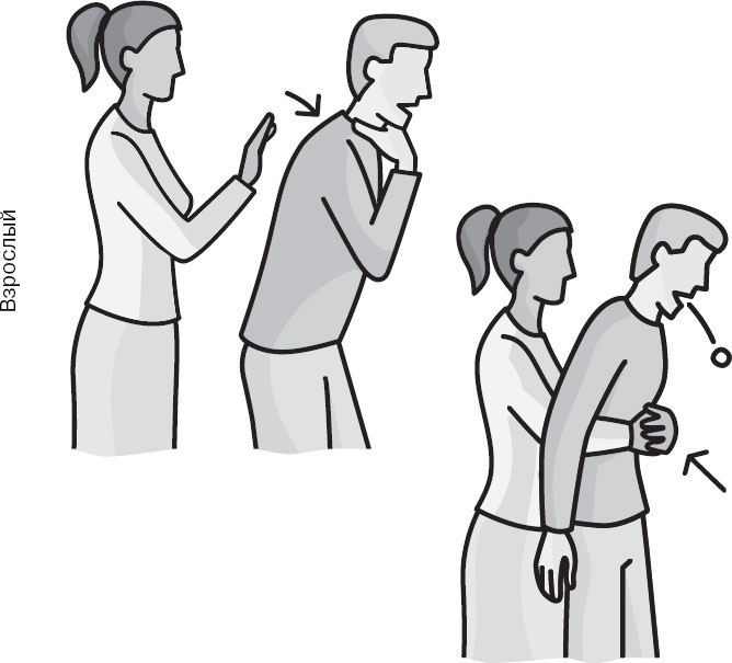 Иллюстрация к книге — Анатомия на пальцах [_85.jpg]