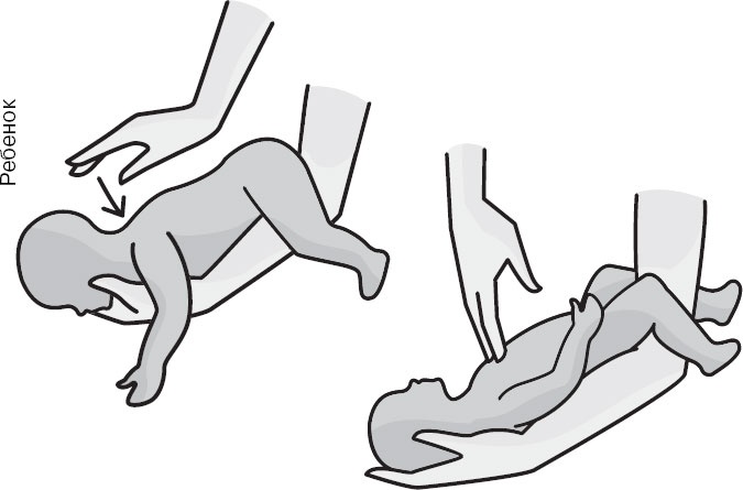 Иллюстрация к книге — Анатомия на пальцах [_86.jpg]