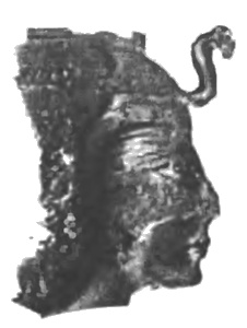 Иллюстрация к книге — Древний Египет. Женщины-фараоны [i_052.jpg]