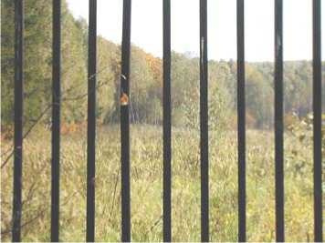 Иллюстрация к книге — Управление Вселенной. Женщина и Вселенная [image13.jpg]