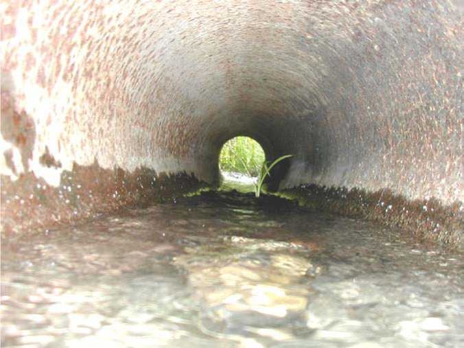 Иллюстрация к книге — Управление Вселенной. Женщина и Вселенная [image14.jpg]