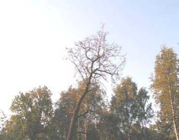 Иллюстрация к книге — Управление Вселенной. Женщина и Вселенная [image17.jpg]