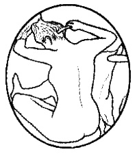 Иллюстрация к книге — Всего лишь женщина [i_001.jpg]