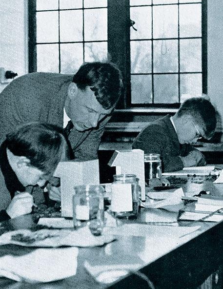 Иллюстрация к книге — Неутолимая любознательность [img7754.jpg]