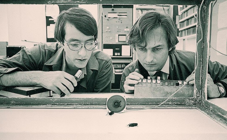 Иллюстрация к книге — Неутолимая любознательность [imgd4b.jpg]