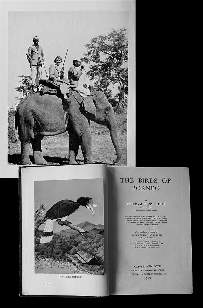 Иллюстрация к книге — Неутолимая любознательность [imgda88.jpg]