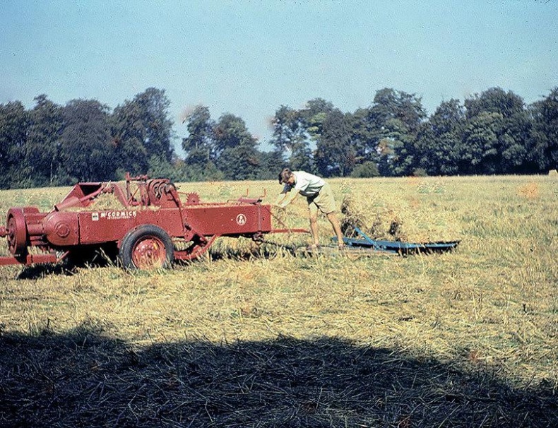 Иллюстрация к книге — Неутолимая любознательность [imgdf69.jpg]