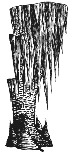 Иллюстрация к книге — Химия. Узнавай химию, читая классику. С комментарием химика [i_069.jpg]