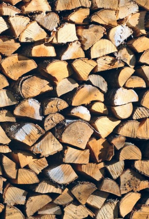 Иллюстрация к книге — Норвежский лес: скандинавский путь к силе и свободе [_001_.jpg]