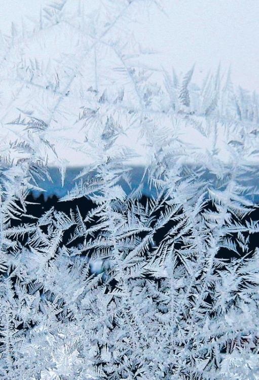 Иллюстрация к книге — Норвежский лес: скандинавский путь к силе и свободе [_019_.jpg]