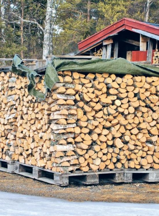 Иллюстрация к книге — Норвежский лес: скандинавский путь к силе и свободе [_024_.jpg]