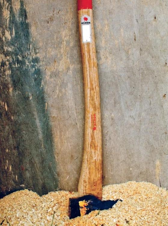 Иллюстрация к книге — Норвежский лес: скандинавский путь к силе и свободе [_039_.jpg]