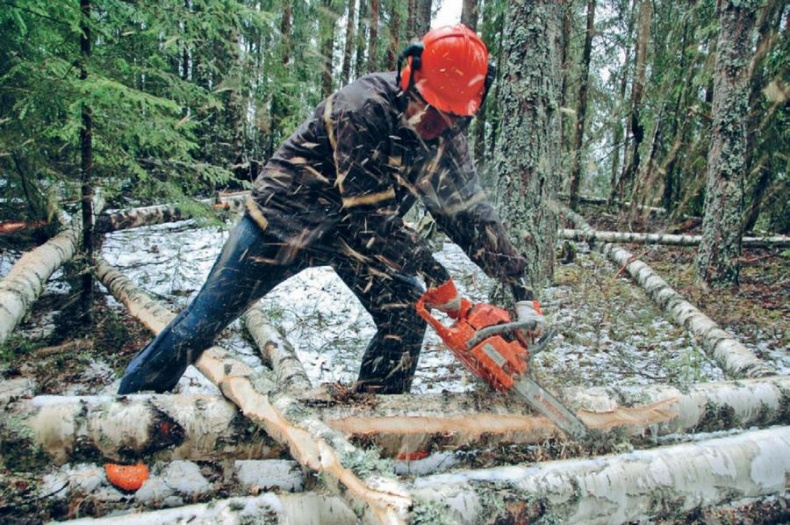 Иллюстрация к книге — Норвежский лес: скандинавский путь к силе и свободе [_066_.jpg]