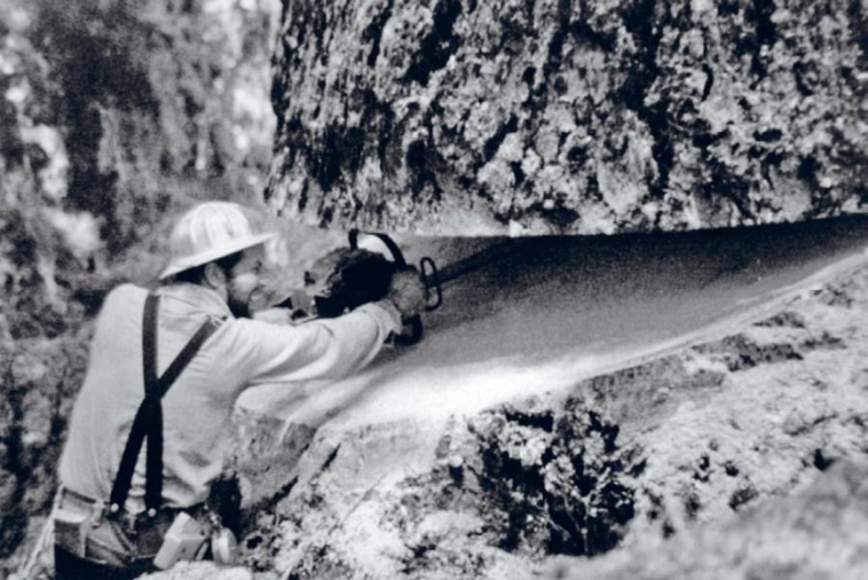 Иллюстрация к книге — Норвежский лес: скандинавский путь к силе и свободе [_088_.jpg]