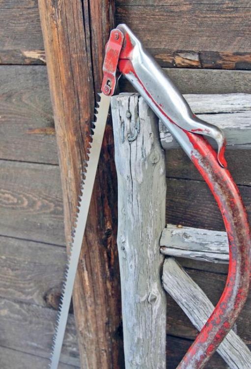 Иллюстрация к книге — Норвежский лес: скандинавский путь к силе и свободе [_119_.jpg]