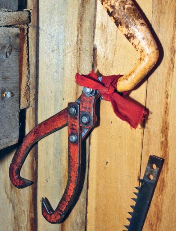 Иллюстрация к книге — Норвежский лес: скандинавский путь к силе и свободе [_124_.jpg]