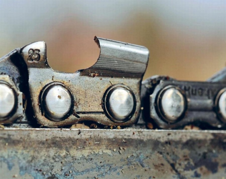 Иллюстрация к книге — Норвежский лес: скандинавский путь к силе и свободе [_126_.jpg]