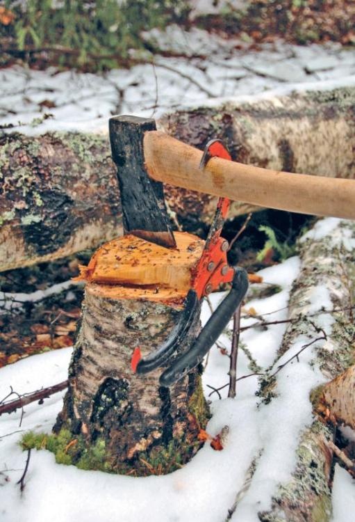 Иллюстрация к книге — Норвежский лес: скандинавский путь к силе и свободе [_163_.jpg]
