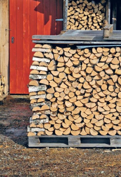 Иллюстрация к книге — Норвежский лес: скандинавский путь к силе и свободе [_205_.jpg]