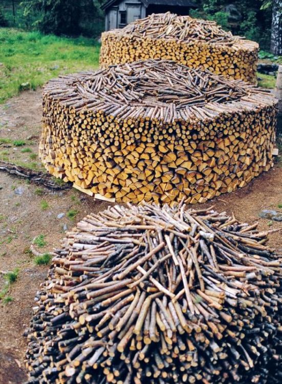 Иллюстрация к книге — Норвежский лес: скандинавский путь к силе и свободе [_215_.jpg]