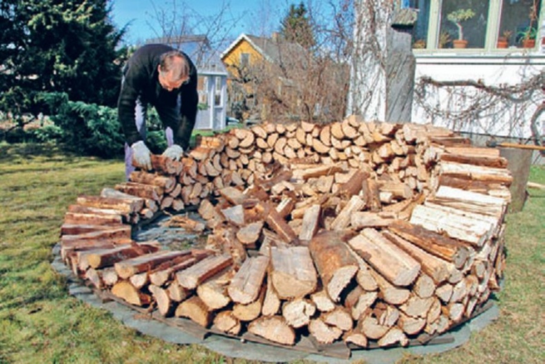 Иллюстрация к книге — Норвежский лес: скандинавский путь к силе и свободе [_225_.jpg]