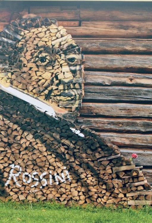 Иллюстрация к книге — Норвежский лес: скандинавский путь к силе и свободе [_234_.jpg]