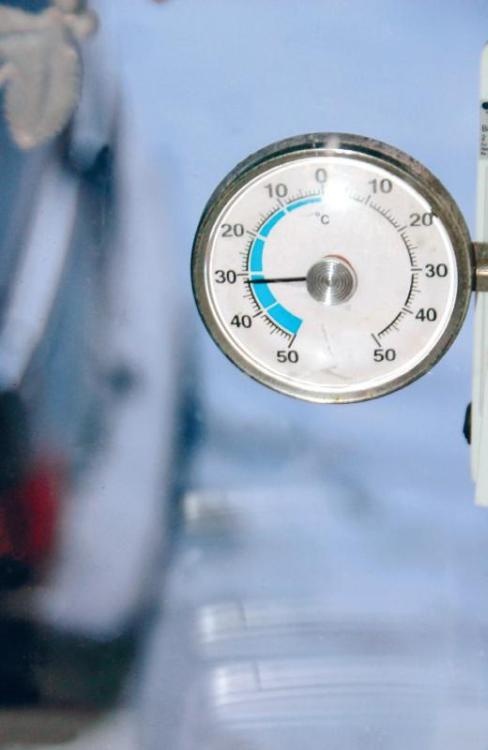 Иллюстрация к книге — Норвежский лес: скандинавский путь к силе и свободе [_305_.jpg]