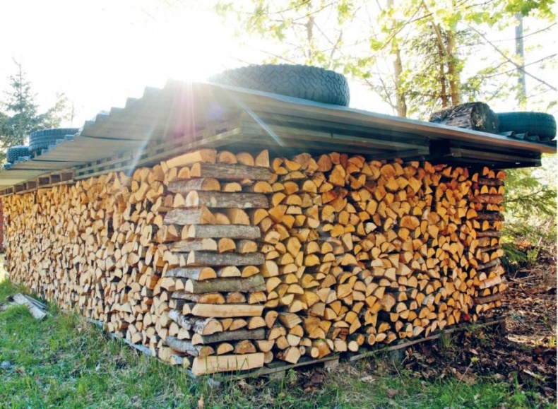 Иллюстрация к книге — Норвежский лес: скандинавский путь к силе и свободе [_315_316.jpg]