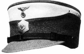 Иллюстрация к книге — Штурмовые отряды (СА) Гитлера 1921-1945 [i_048.jpg]