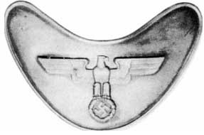 Иллюстрация к книге — Штурмовые отряды (СА) Гитлера 1921-1945 [i_049.jpg]